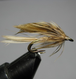 ���� �� �������� ��� �10 (8)  Wet   Ginger  Brown  ��. � 8